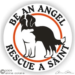 Saint Bernard Decal