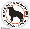 Schipperke Decal