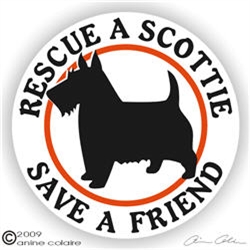 Scottish Terrier Decal