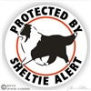 Sheltie Decal