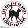 Abyssinian Cat Decal
