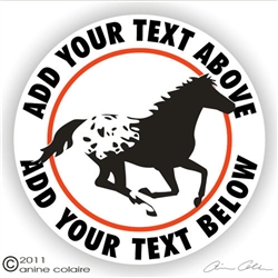 Appaloosa Decal