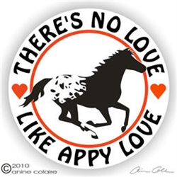 Appaloosa Decal