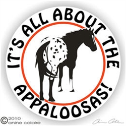 Appaloosa Decal