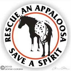 Appaloosa Decal