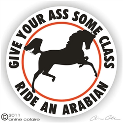 Arabian Decal