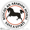 Arabian Decal