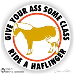 Haflinger Vinyl Decal