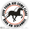 Icelandic Vinyl Decal