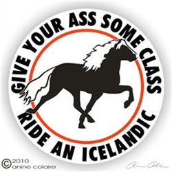 Icelandic Vinyl Decal