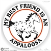 Appaloosa Leopard Decal