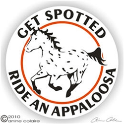 Appaloosa Leopard Decal