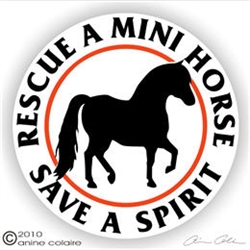 Miniature Horse Vinyl Decal