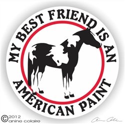 American Paint Vinyl Decal