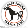 Pony of the Americas Decal