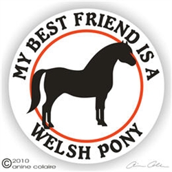 Welsh Pony Horse Trailer Decal