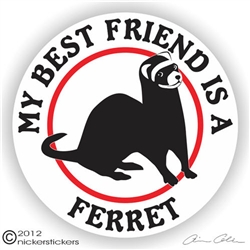 Ferret Decal