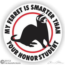 Ferret Decal