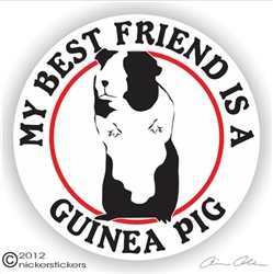 Guinea Pig Decal