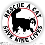 Maine Coon Decal