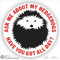 Hedgehog Decal