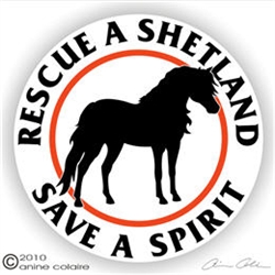 Shetland Pony Horse Trailer Decal