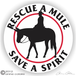 Saddle Mule Decal