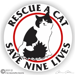 Black & White Kitty Window Decal