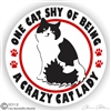 Black & White Kitty Window Decal