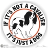 Cavalier King Charles Spaniel Decal