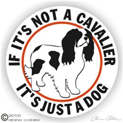 Cavalier King Charles Spaniel Decal