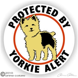 Yorkie Decal