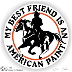 American Paint Vinyl Decal