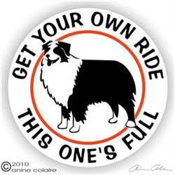 Australian Shepherd Decal