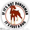 Doberman Decal