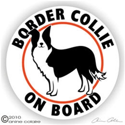 Border Collie Decal