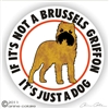 Brussels Griffon Decal