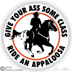 Appaloosa Decal