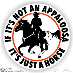 Appaloosa Decal