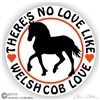 Welsh Cob Horse Trailer Decal