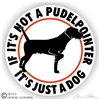 Pudelpointer Decal