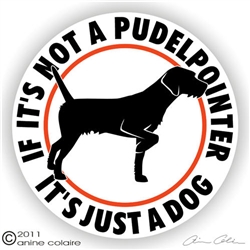 Pudelpointer Decal