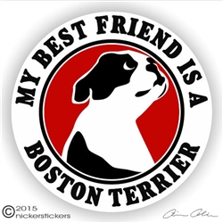 Boston Terrier Decal