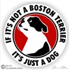 Boston Terrier Decal