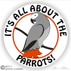 African Grey Decal