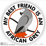 African Grey Decal