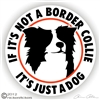 Border Collie Decal