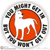 Dogo Argentino Decal