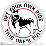 Shilo Shepherd Decal