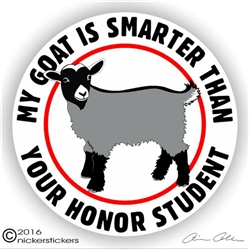 Pygmy Goat Decal